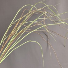 仿真胶枝枝条龙柳银柳短枝龙柳须北欧家居样板间婚庆设计插花批发