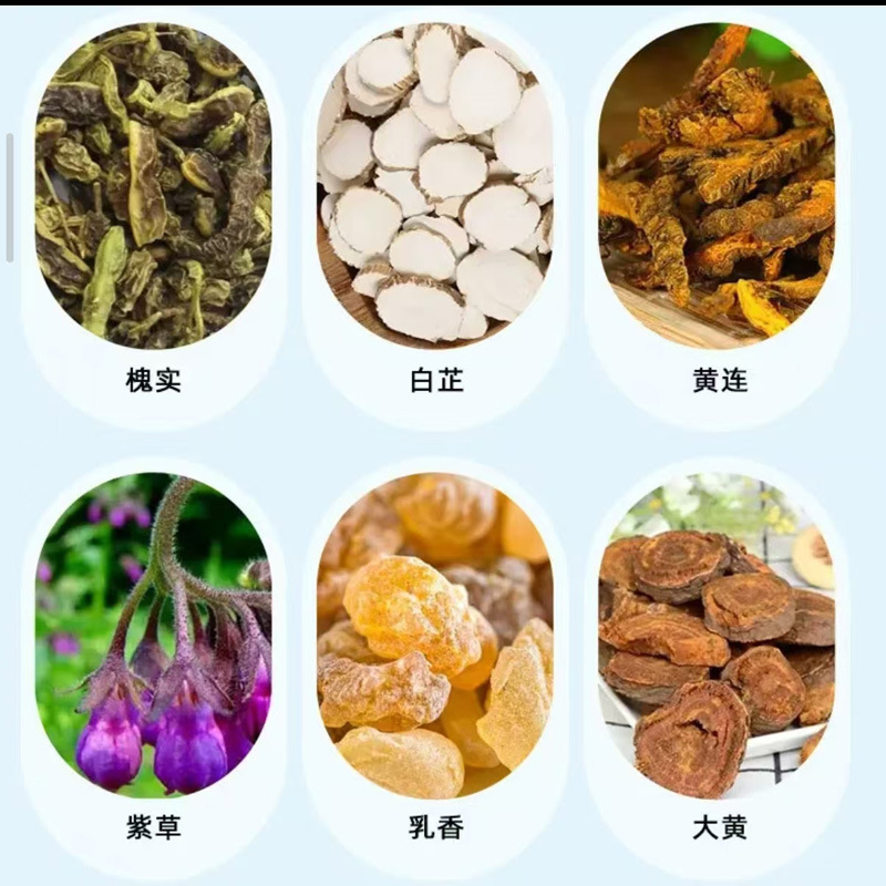 ディザトーン同型香港大薬局断痔貼り植物草本男女共通内外混合断痔貼り|undefined