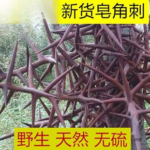 ���x �؎X��Ȼ���Ǵ�500gҰ���������̲��춡�̹���