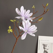 ���滨ľ�޻��ǻ����m ����؛Դ�W�tɫϵ�ҾӘӰ��g�Ƶ��c�b�