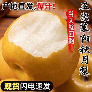 �Fժ�F�lɽ�|�R�����������ˮ�����r���𑪼�����������Ȼ������