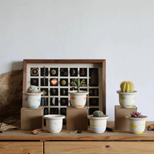 ˯������������Gֲ���K�����Ɵ�ֲ͸��͸ˮ�������ʯ�մɻ���