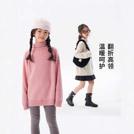 半高领双股加厚女式秋冬100羊毛保暖针织衫毛衣女