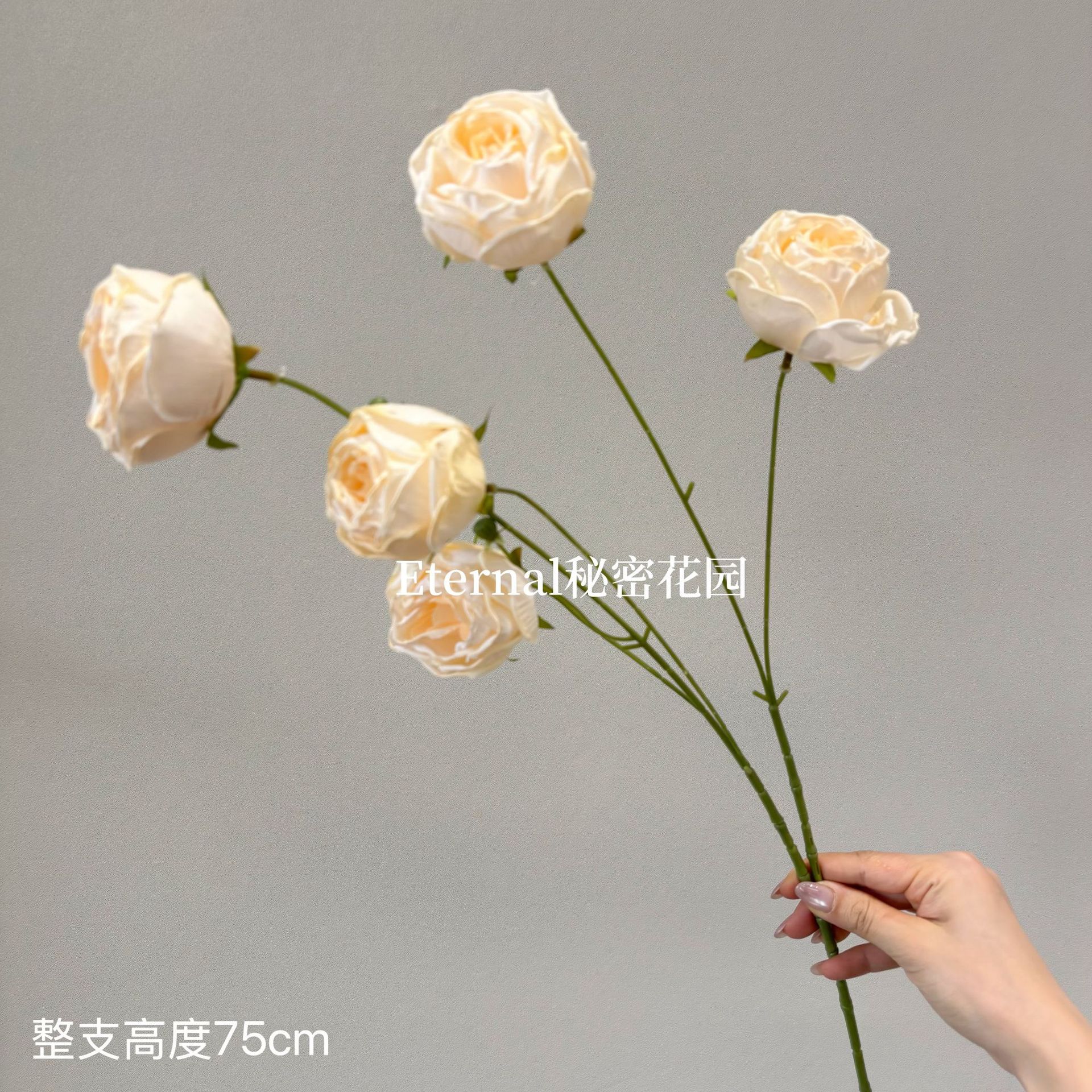 버블 로즈