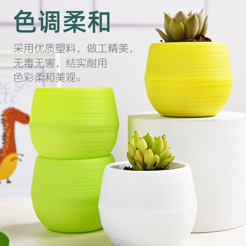 Suculentas macetas pequeñas mini piedra bolas macetas arco iris macetas pp resina plástico perezosos macetas fabricantes