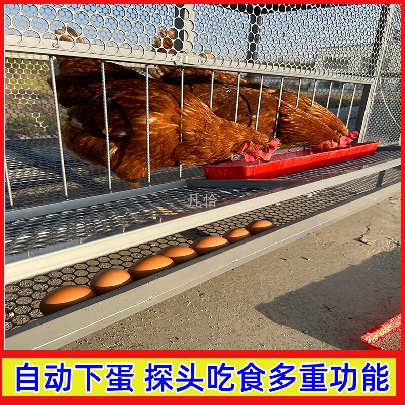 尖顶鸡笼室外饲养笼防鼠黄鼠狼防雨加密加厚鸭鹅兔芦丁鸡养殖笼子|undefined