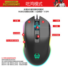 工厂现货电竞发光游戏鼠标G21 宏定义RGB灯效四档DPI机械鼠标吃鸡