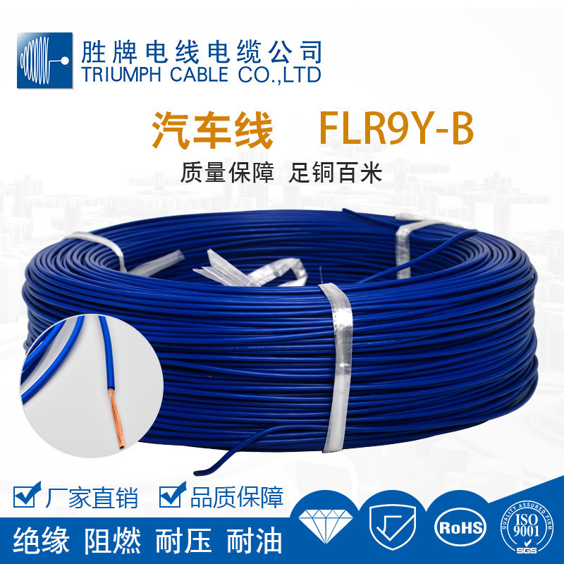 胜牌直供FLR9Y-B德标汽车线 低压薄壁 交联辐照高温线 汽车动力线