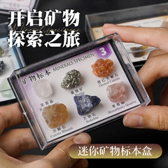 天然水晶矿石标本6种矿物原石自然地质教学材料跨境爆款厂家货源