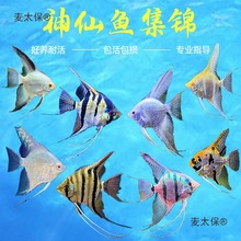 �����~���~�������~������ɫ�Ꭷ�^�p�~С�͵�ˮ���B�߲�����̫��