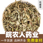 败酱草北败酱草无硫黄花败将草臭败酱茶臭败中药材大全代发批发