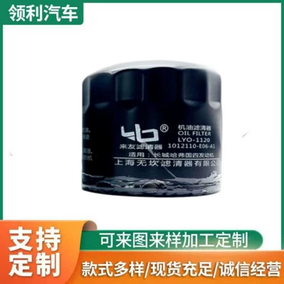 Oil Filter Element 1012110-E06-A1 Great Wall Haval National Iv Engine Oil Filter Element Oil Filter (Oil filter)