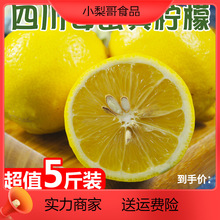 國產四川安岳黃檸檬2斤 新鮮水果果皮薄鮮青金桔檸檬茶飲
