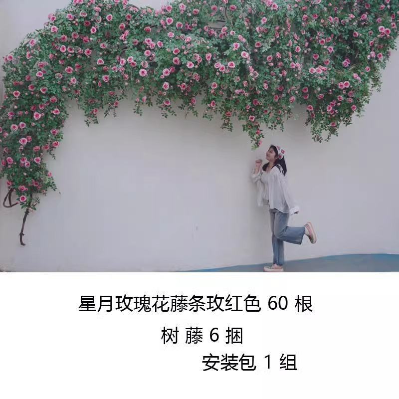 지구 회복 스타일