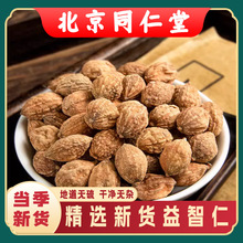 中药材野生益智仁500g益智仁可搭远志伸筋草泡水三宝茶包邮