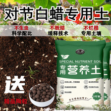 ������Ϟ�������N���N�������������ϾGֲ�����ЙC���ϠI�B��