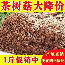 2023古田农家茶树菇500g新鲜茶薪菇无硫干货香菇蘑菇金针菇俏