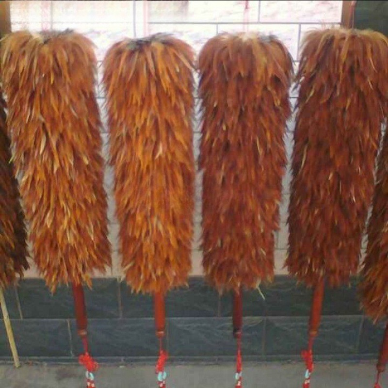鸡毛掸子真促销伸缩鸡毛扫家用车用包邮不毛独立站代发厂家批发
