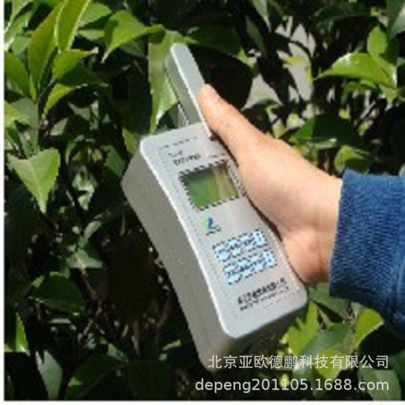 植株养分快速测定仪/植株养分快速测试仪DP-TYS-3N