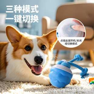 �羳������ҧ��������ù�����ߌ���ĥ���␞�����늄ӌ�����Ʒ