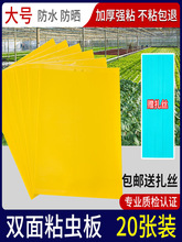 SpճxERNS{wxTxСڹ@մωT