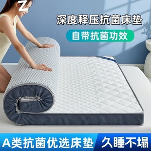 Thickened Mattress for Home Use, Cool Silk Double Summer Student Dormitory Single Sponge Foldable Floor Mattress