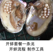 现场开蚌DIY套餐一条龙 珍珠蚌创业套餐 DIY手工制作饰品流程工具