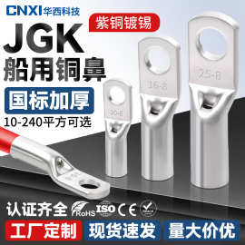 CNXI华西科技铜鼻子JGK10-6紫铜国标接线端子 船用加厚冷压窥口鼻