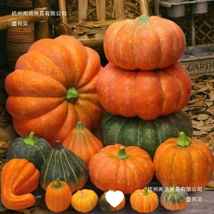 �S���Ϲ�ģ���f�}������b�ƷУ�@���ߙ���չʾ�zӰ���߲�С�Ϲ�