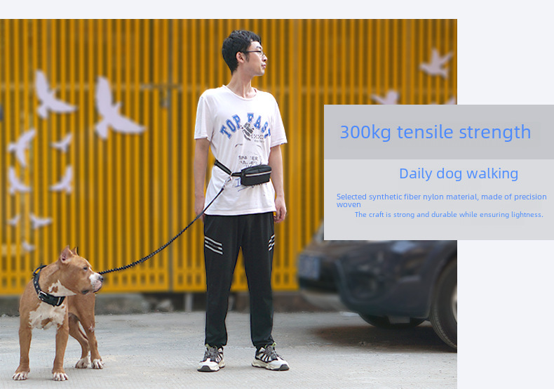 Pet Leash Image 15