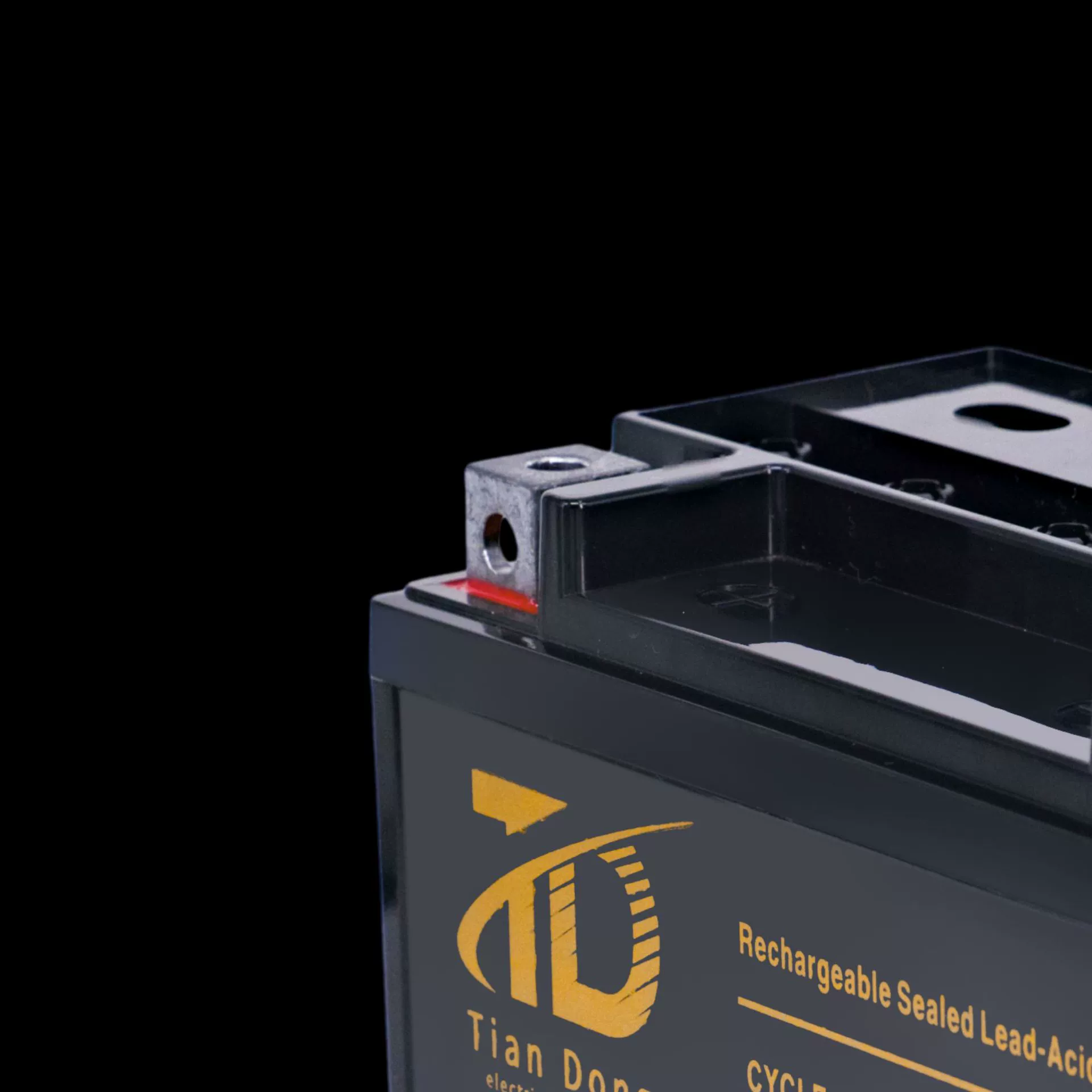 Electric car, universal pedal, genuine rechargeable battery, 12v