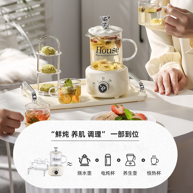 Health preservation pot multi-functional household small mini tea brewing pot office water boiler cooking flower tea pot thickened glass