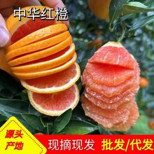 水果批发秭归中华红橙红肉脐橙红心薄皮多汁橙子甜橙紫红果肉柑橘