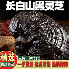 ���`֥ �L��ɽ�`֥�|�����`֥ƽ�w���ں�֥��ˮ�ݾƟ����a��ֱ�N