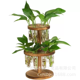 跨境实木水培花架双层试管绿植培育架桌面植物生根观察收纳置物架