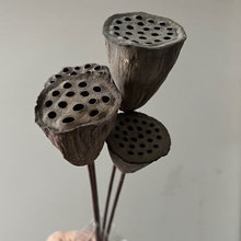 批发干花莲蓬干花居家插花花束莲蓬