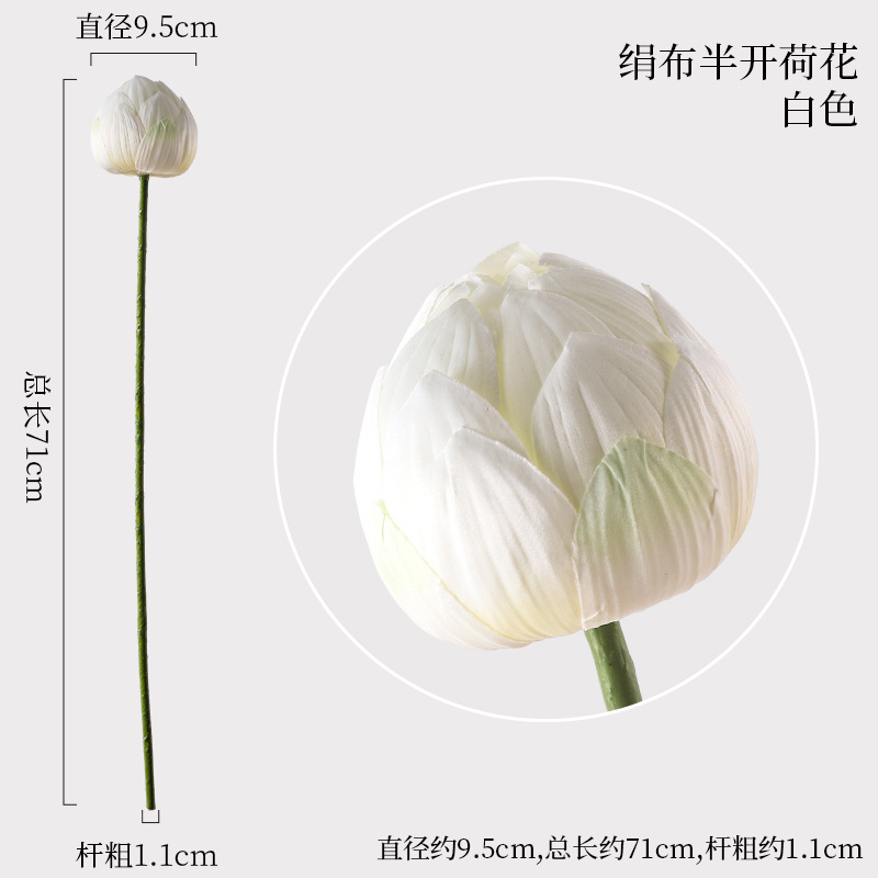 천 연꽃 반개방 흰색