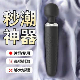 震动棒;情趣跳蛋;女用穿戴