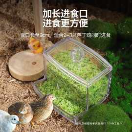 芦丁鸡自动喂食器鹦鹉食盒食槽鸟食罐饮水器造景喂鸟器水壶饲料盒