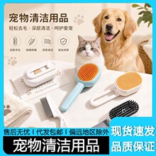 �坍��ԡ����ë�l�����坍�I�۝�팙��F����؈���坍�����þ�