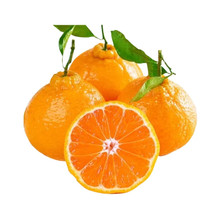 ���ڳ��ٳ�˹����Ӯ������rˮ����Ƥ�Ұ����γ�����������