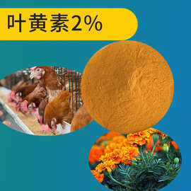 饲料级叶黄素2%万寿菊提取物天然饲料着色剂蛋黄着色剂大量库存