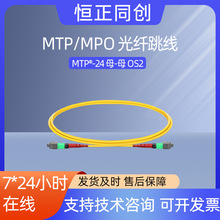 1m光纤跳线OS2 24芯MTP®-24 APC母转MTP®-24 APC母单模光纤跳线