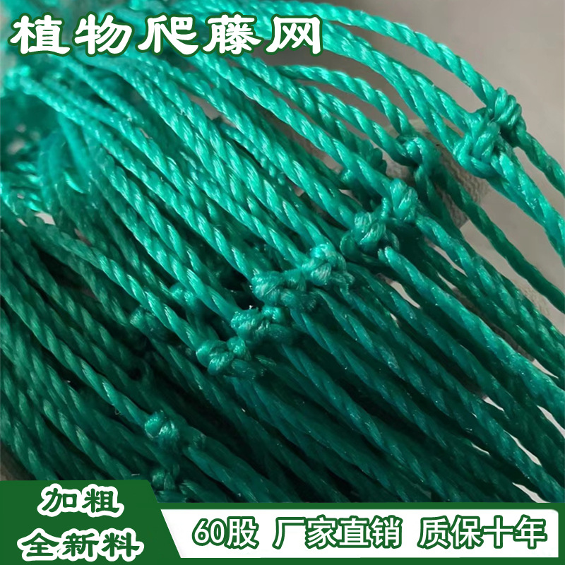 热推植物爬藤网 花卉丝瓜苦瓜葡萄瓜蒌豆角百香果园艺方格攀爬网
