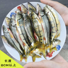 ʮ���Ϫˮʯ���~���rС��Ϫ���~��ɽҰ�⵭ˮС�s�~�~�ɬF���F�l