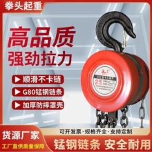 批发德国品质手拉葫芦倒链1吨2吨3吨5吨起重吊具铁吊机家用小型升