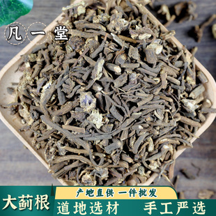 ����һ�á������x�� ���E�����E���� ���E ���E ���E���ɟo�۰l؛