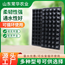 供应72孔105孔大容量拼接款育苗盘园艺种植箱多肉花卉育苗穴盘