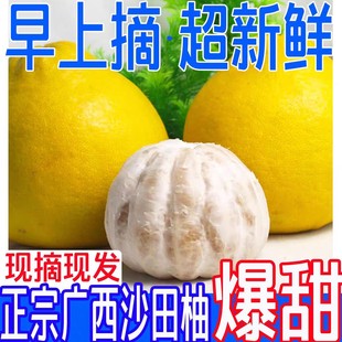 �V��ɳ�����ݿh�������r�������Ӱ���ˮ���������ͶY�������l���l