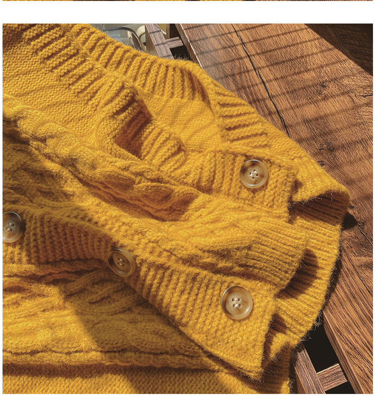 日系麻花针织马甲女 慵懒风纯色开衫背心早秋无袖圆领毛衣马甲潮